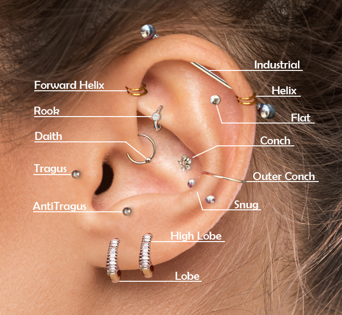 ear piercing chart